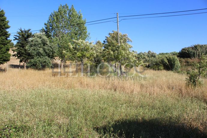 Proporção de 1/2 de Terreno · Azambuja