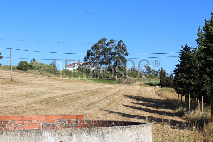 Proporção de 1/2 de Terreno · Azambuja