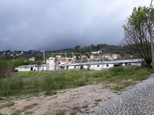 Pavilhões · Terrenos · Armazéns · Mundaxa, Tondela