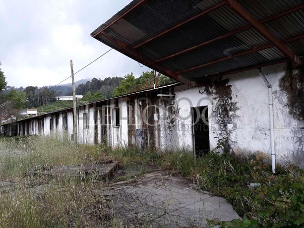 Pavilhões · Terrenos · Armazéns · Mundaxa, Tondela