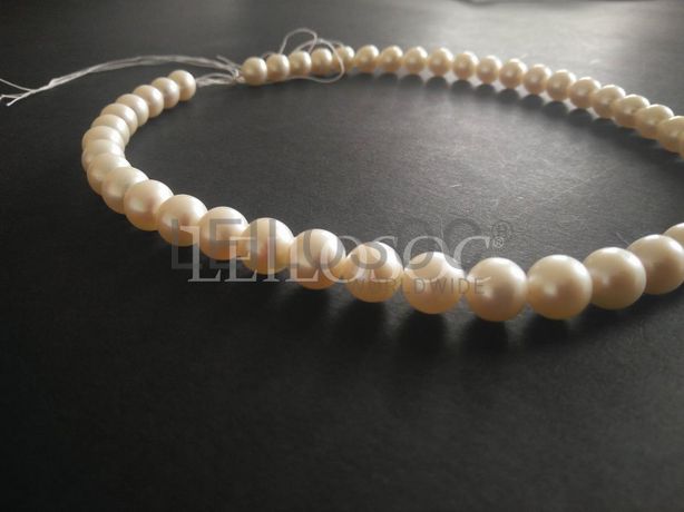 Lote 06 - Verbas 224 a 305