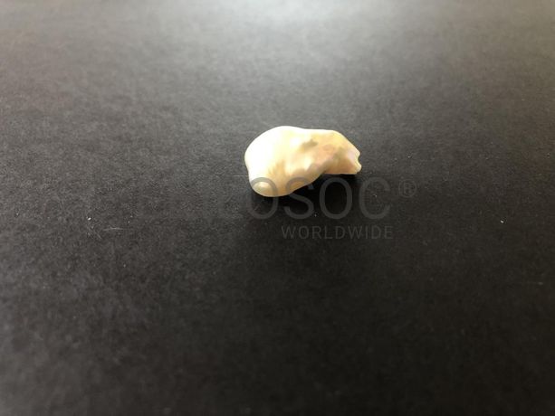 Lote 09 - Verbas 357 a 426