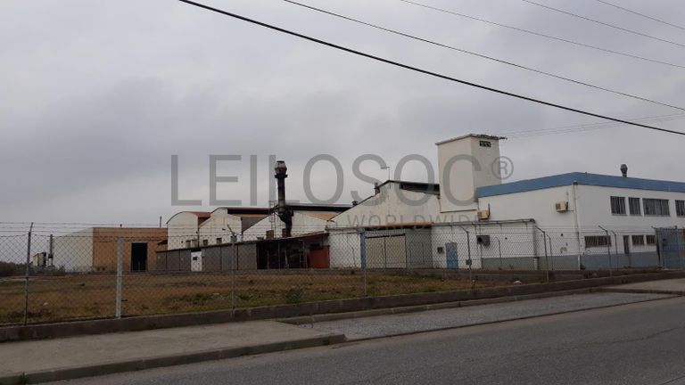 Armazém Industrial · Vila Chã de Ourique - Cartaxo