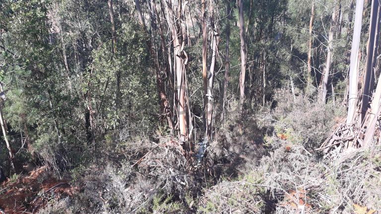 Terreno · Ferreira do Zêzere, Santarém