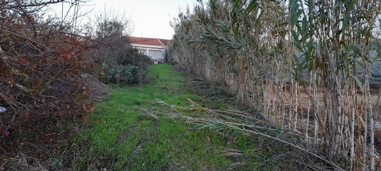 Direito à Meação · Moradia V3 com Garagem · Loja · Torres Vedras