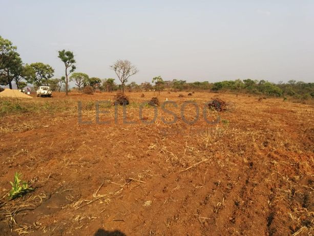 Fazenda Agropecuária | 362 ha · Lucala