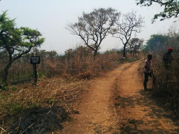 Fazenda Agropecuária | 362 ha · Lucala