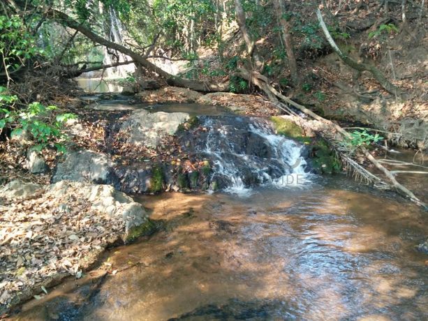 Fazenda Agropecuária | 362 ha · Lucala