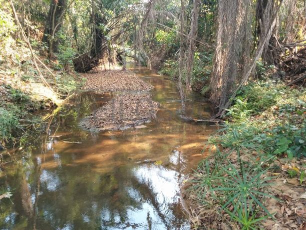 Fazenda Agropecuária | 362 ha · Lucala