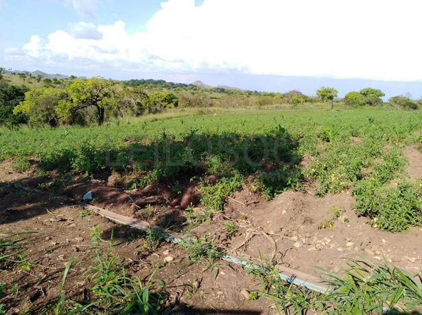 Fazenda Agropecuária | 362 ha · Lucala