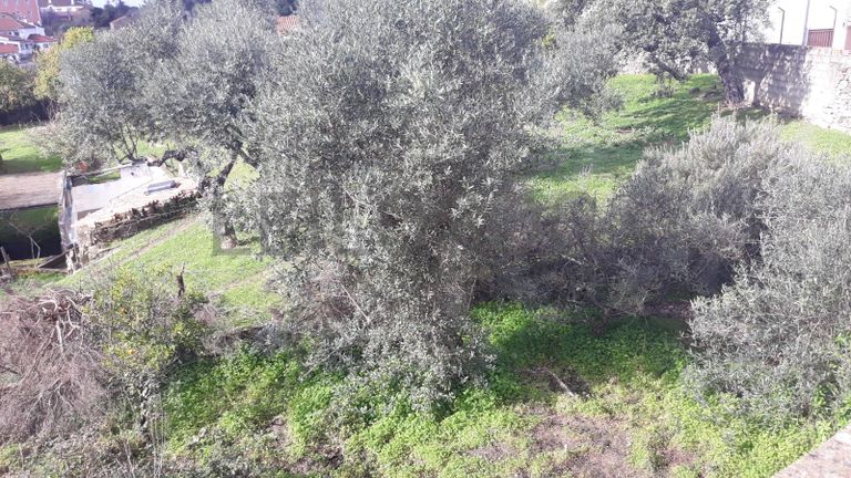 Moradia V3 com Garagem · Castelo Branco