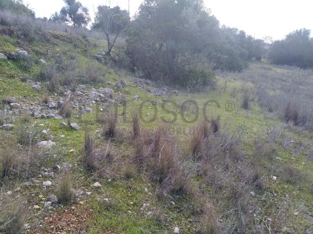 Quinhão Hereditário · Loulé