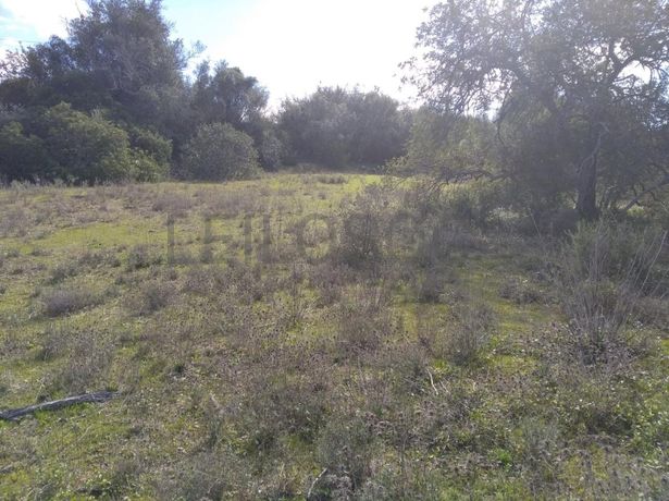 Quinhão Hereditário · Loulé