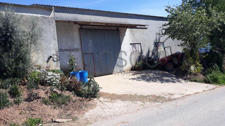 Quinhão Hereditário · Caldas da Rainha