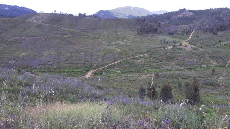 Terrenos · Vila Velha de Ródão