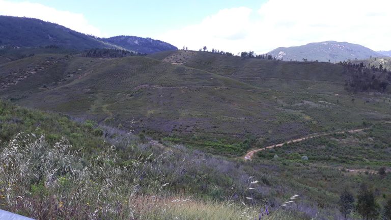 Terrenos · Vila Velha de Ródão