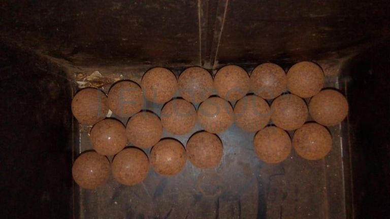 Peças e Acessórios  ·