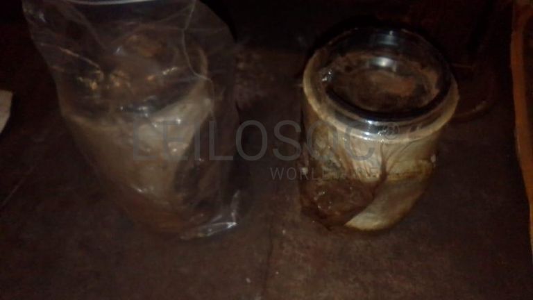 Peças e Acessórios  ·