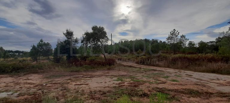 Lote para Construção · Sardoal