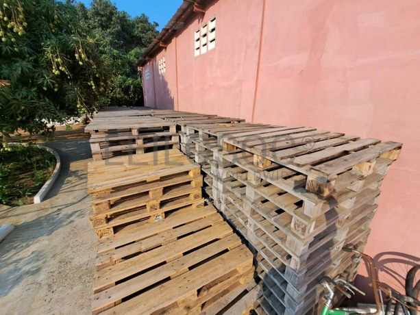 Paletes em madeira