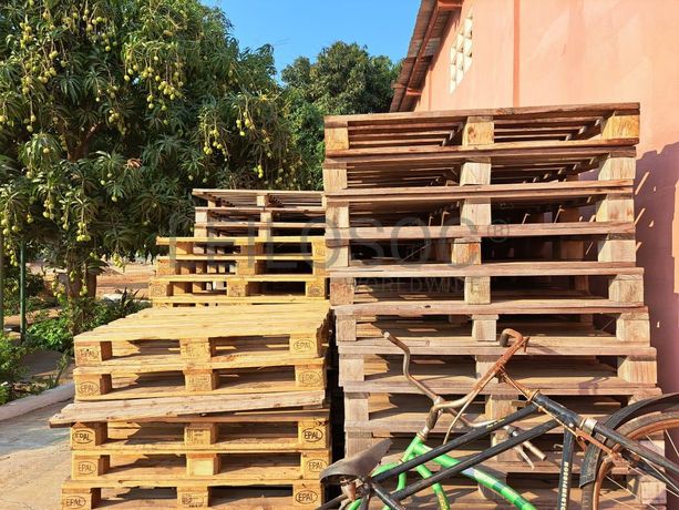 Paletes em madeira