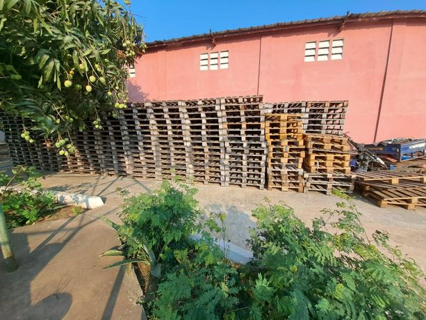 Paletes em madeira