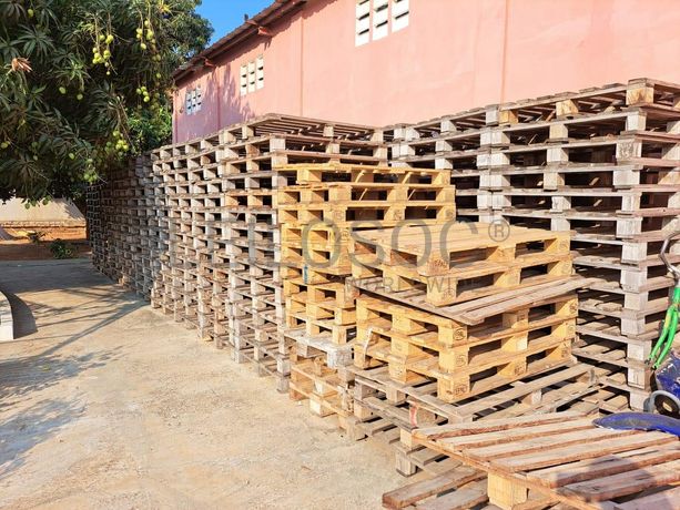 Paletes em madeira