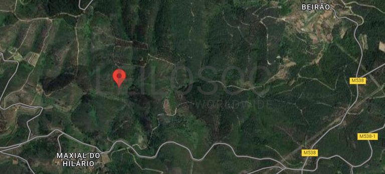 Terreno · Sertã, Castelo Branco