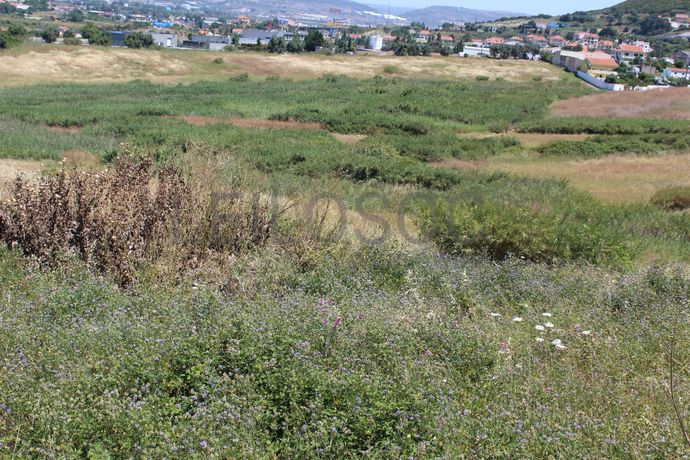 Terreno c/ 5,6 ha · Loures