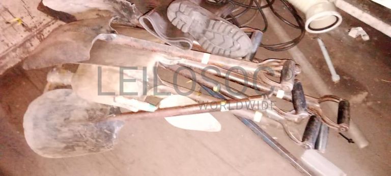 Diversos + Grampos ·