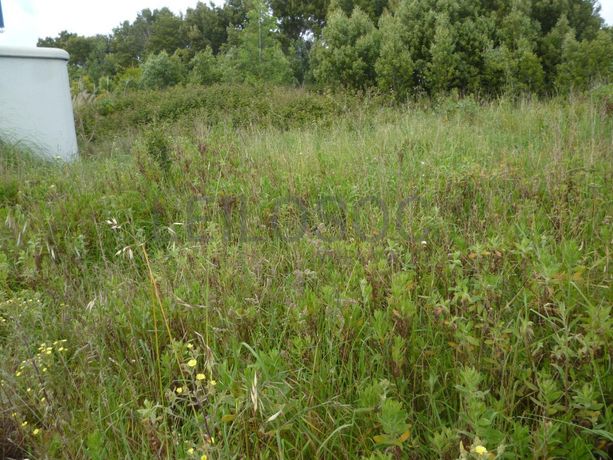 Terreno para Construção · Santa Maria da Feira