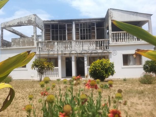 Geminadas T2 - Xai-Xai ·