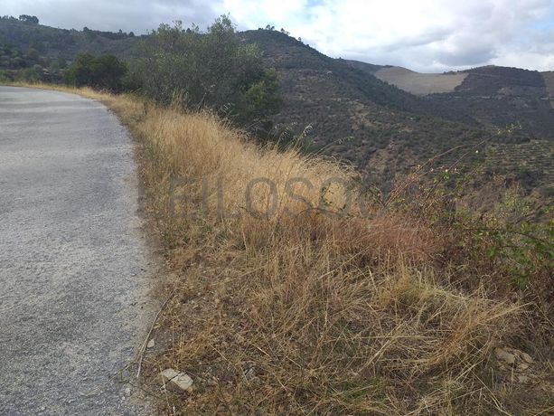 Terreno com 4,49 ha · Tabuaço