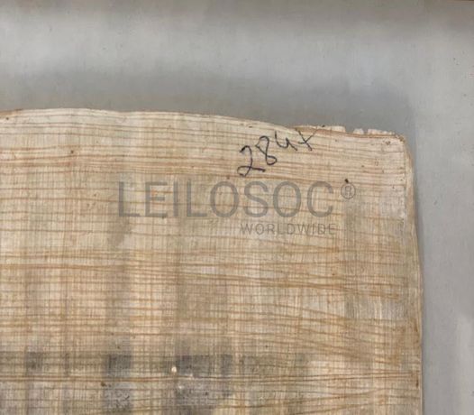 Arte · Esculturas · Papiros