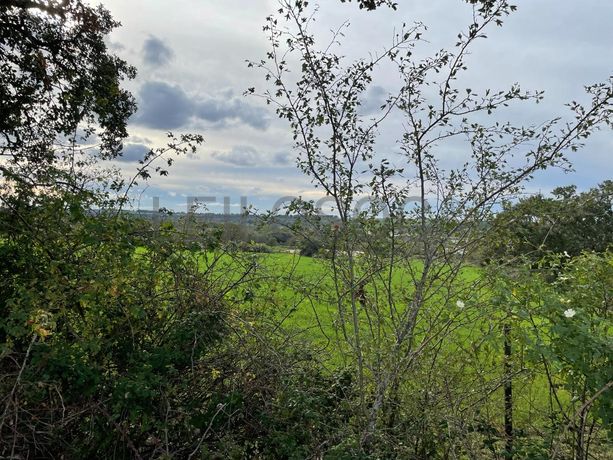 Quinhão Hereditário · Figueira de Castelo Rodrigo, Guarda