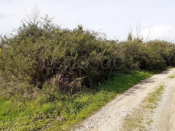 1/2 de Terreno · Viseu