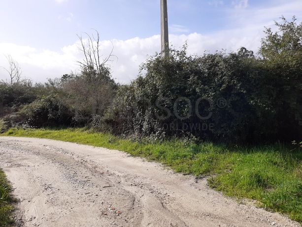 1/2 de Terreno · Viseu