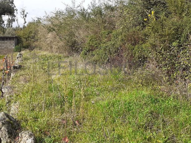 1/2 de Terreno · Viseu