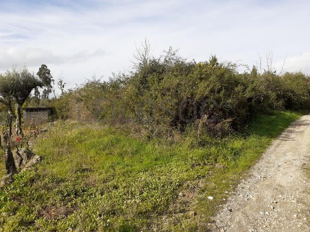 1/2 de Terreno · Viseu