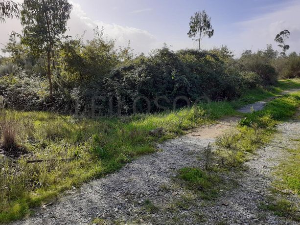 1/2 de Terreno · Viseu