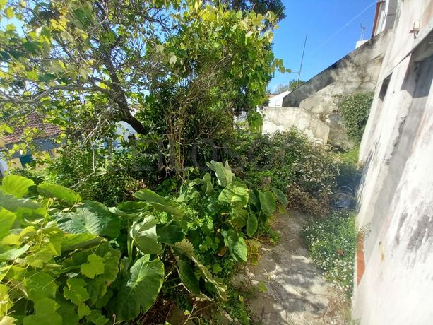 Quinhão Hereditário · Arquipélago dos Açores