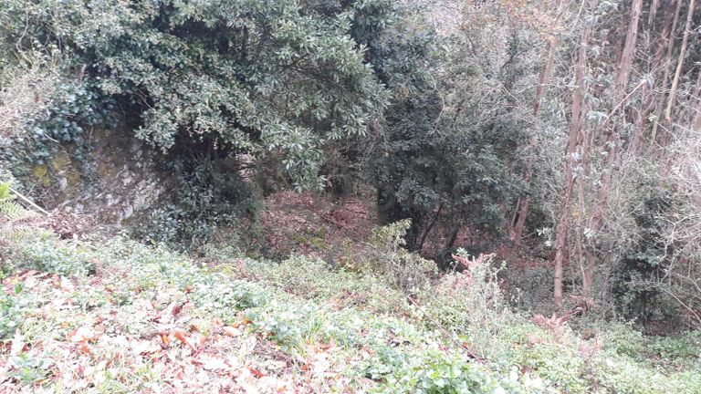 Usufruto de Moradia e Terrenos · Penela, Coimbra