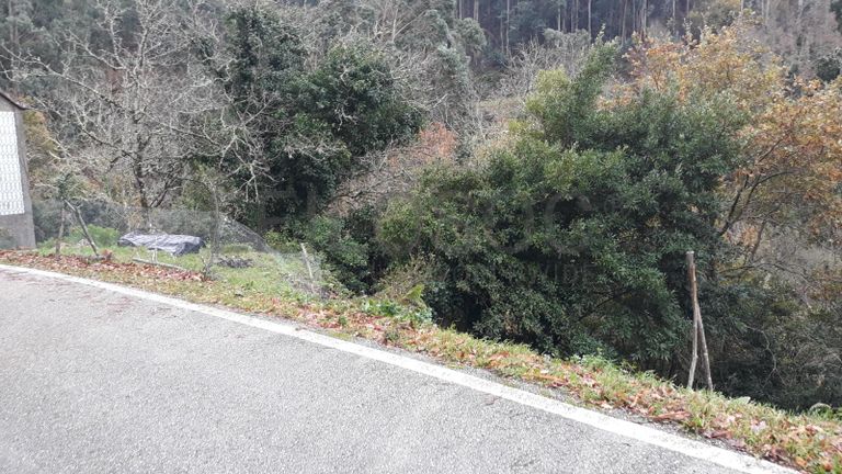 Usufruto de Moradia e Terrenos · Penela, Coimbra