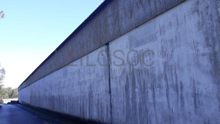 Armazéns + Lote para Construção + Terrenos · Ourém