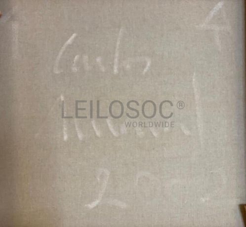 'Sem título' · Carlos Amaral