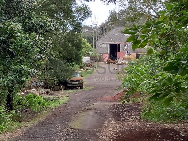 Armazém · Ponta Delgada, Arquipélago dos Açores