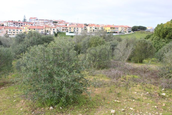 Terreno · Oeiras