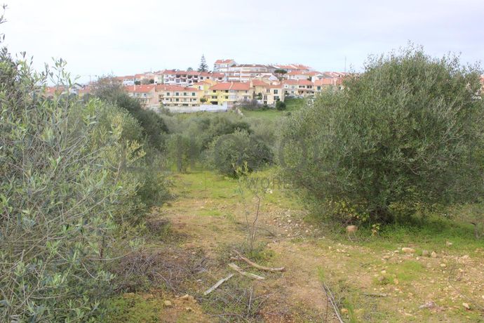 Terreno · Oeiras