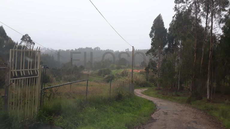 Moradia em Ruínas · Figueira da Foz
