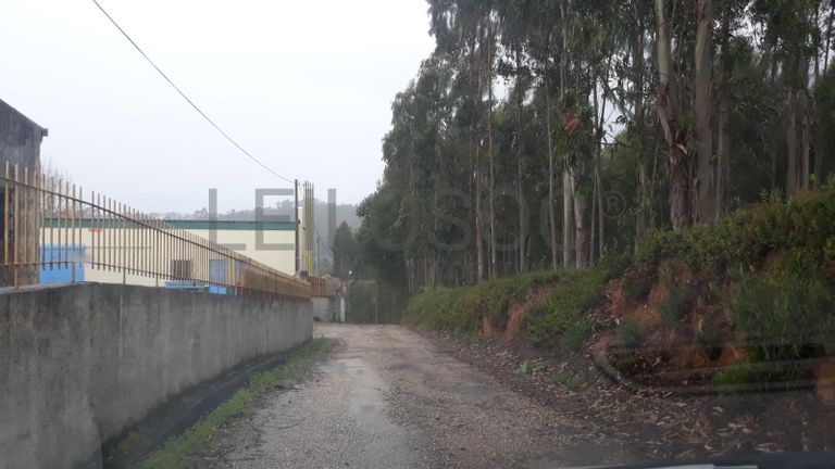 Moradia em Ruínas · Figueira da Foz